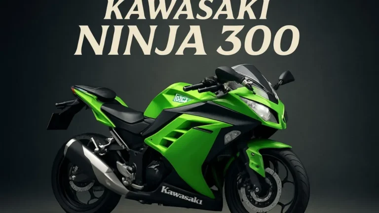 kawasaki ninja 300 front view sporty design