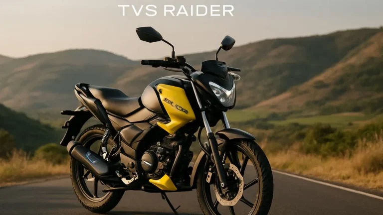 TVS Raider 125 digital instrument cluster and tank splitters