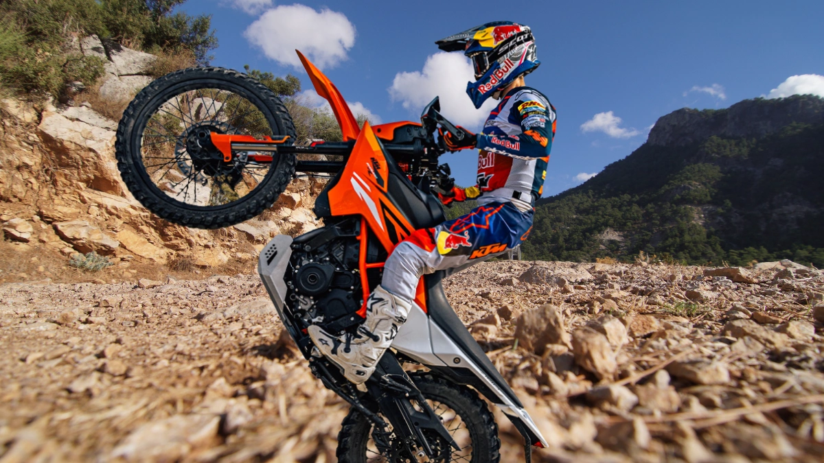 KTM 390 Enduro R engine 