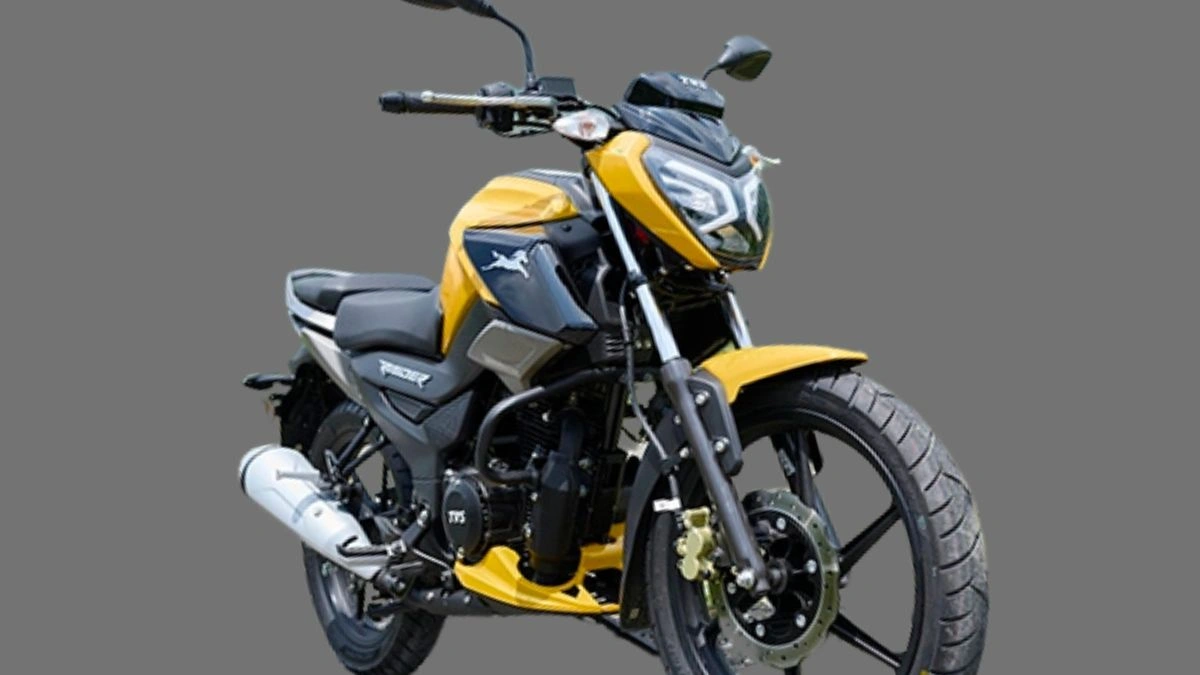 TVS Raider 125 design